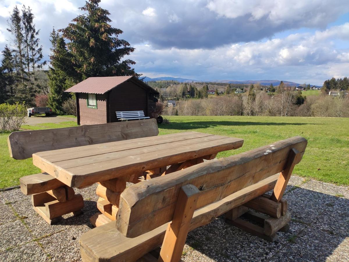 Ferienwohnung Harzluchs Mit Balkon, Netflix Und Sauna Im Haus Hohegeiß Dış mekan fotoğraf