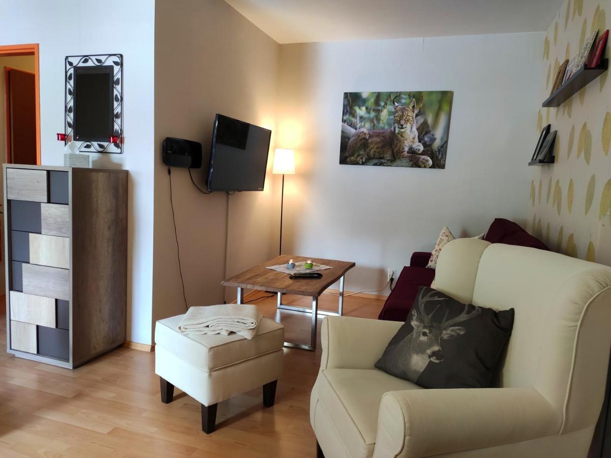 Ferienwohnung Harzluchs Mit Balkon, Netflix Und Sauna Im Haus Hohegeiß Dış mekan fotoğraf