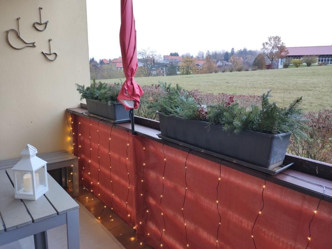 Ferienwohnung Harzluchs Mit Balkon, Netflix Und Sauna Im Haus Hohegeiß Dış mekan fotoğraf