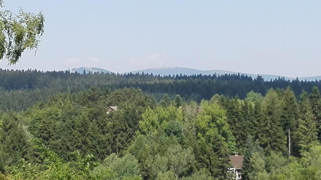 Ferienwohnung Harzluchs Mit Balkon, Netflix Und Sauna Im Haus Hohegeiß Oda fotoğraf