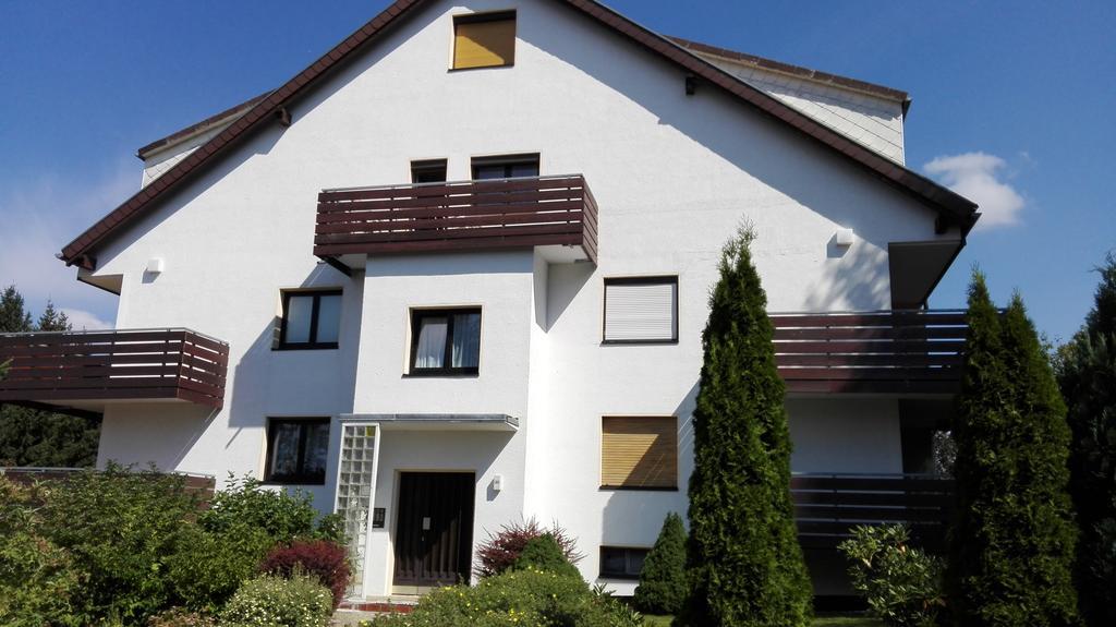 Ferienwohnung Harzluchs Mit Balkon, Netflix Und Sauna Im Haus Hohegeiß Oda fotoğraf