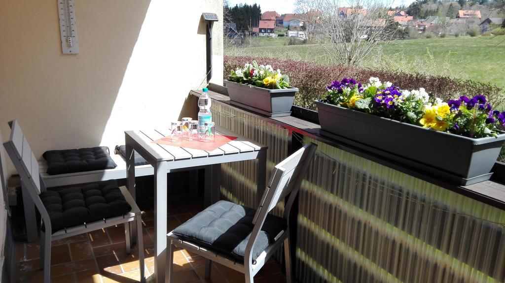 Ferienwohnung Harzluchs Mit Balkon, Netflix Und Sauna Im Haus Hohegeiß Dış mekan fotoğraf