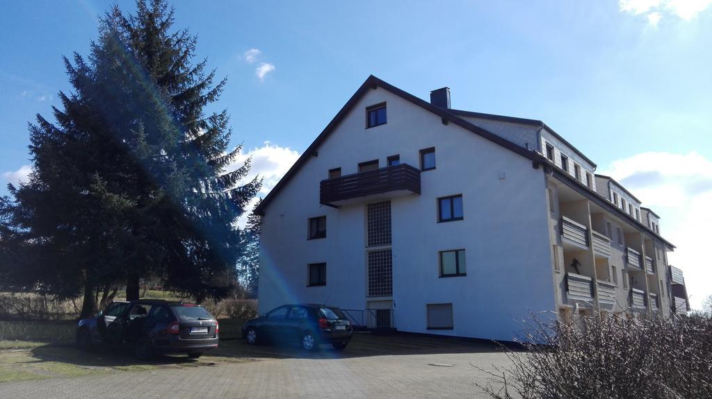 Ferienwohnung Harzluchs Mit Balkon, Netflix Und Sauna Im Haus Hohegeiß Dış mekan fotoğraf