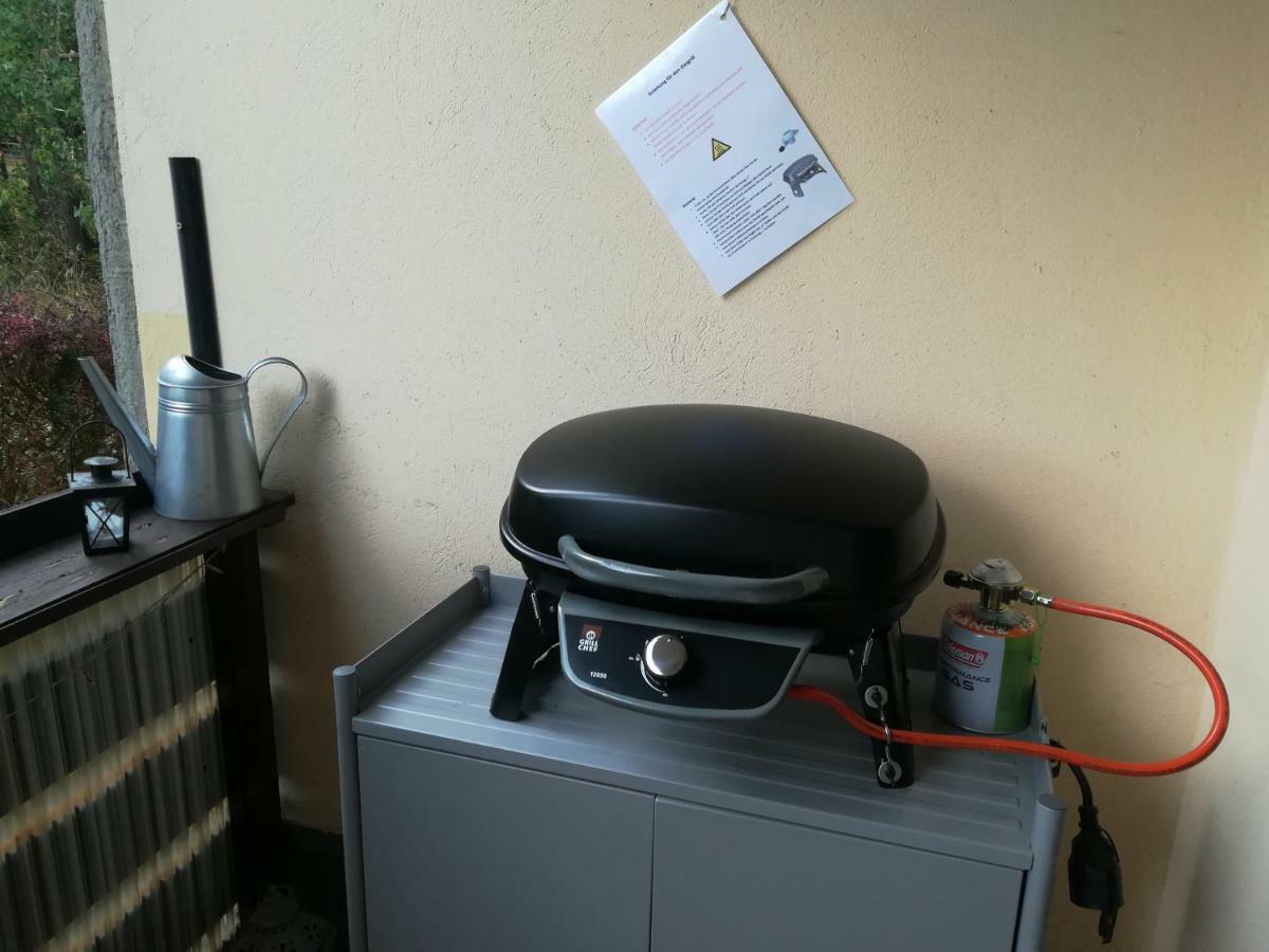 Ferienwohnung Harzluchs Mit Balkon, Netflix Und Sauna Im Haus Hohegeiß Dış mekan fotoğraf